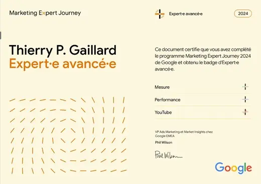 Google Marketing Expert Journey advanced expert certification