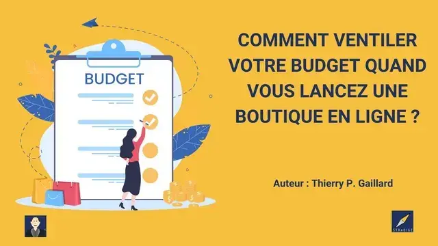 Video illustration of e-commerce budget allocation